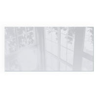 GLASPLATTE für Kamin 100x50 cm - Grau, Glas (100/50/0.4cm) - TULUP