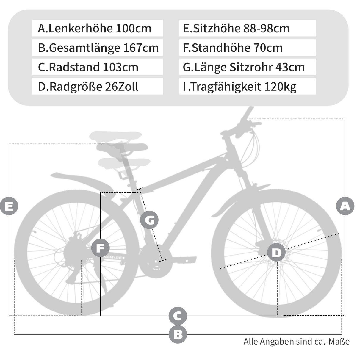 MOUNTAINBIKE 26 Zoll Blau – 21-Gang-Schaltung – Scheibenbremsen – Stahlrahmen - Blau, Metall (100cm) - Oxeza