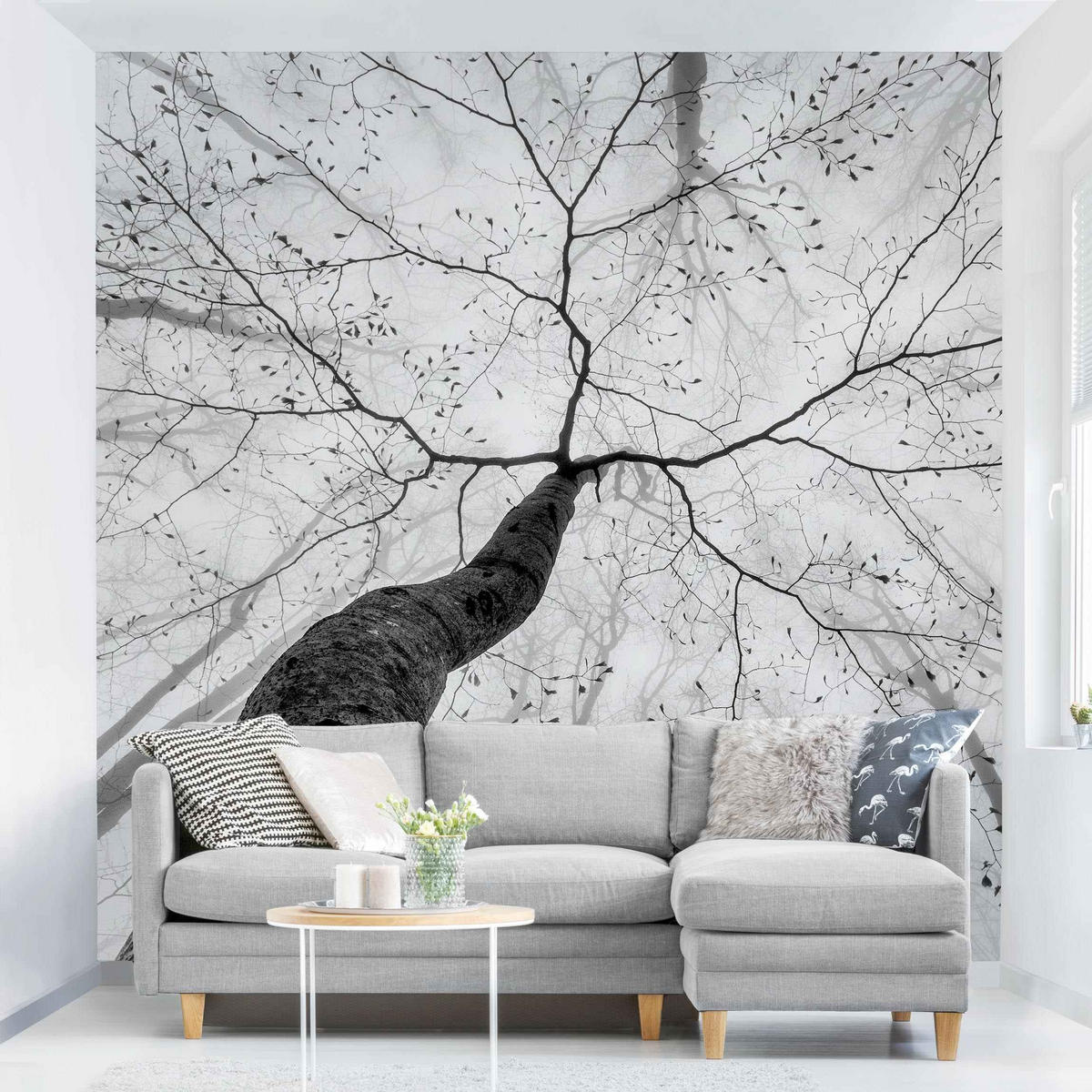 FOTOTAPETE Baumkronen im Himmel 240/240 cm - Schwarz, Papier (240/240cm) - Bilderwelten