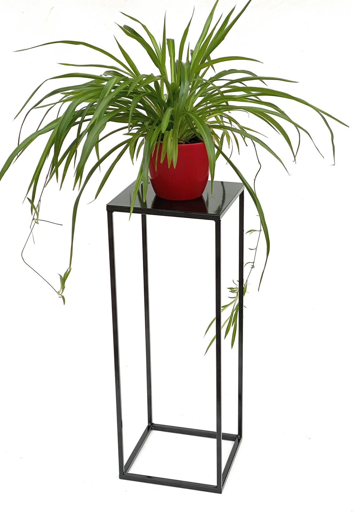 BLUMENSTÄNDER eckig Metall Schwarz 23/23/62,5 cm - Schwarz, Metall (23/62.5/23cm) - DanDiBo