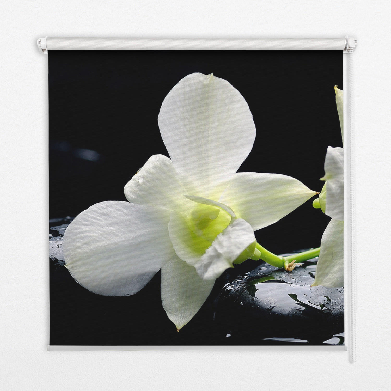 TULUP VNITŘNÍ roleta - okenní roleta - roleta - 150 x180 cm - Orchideje