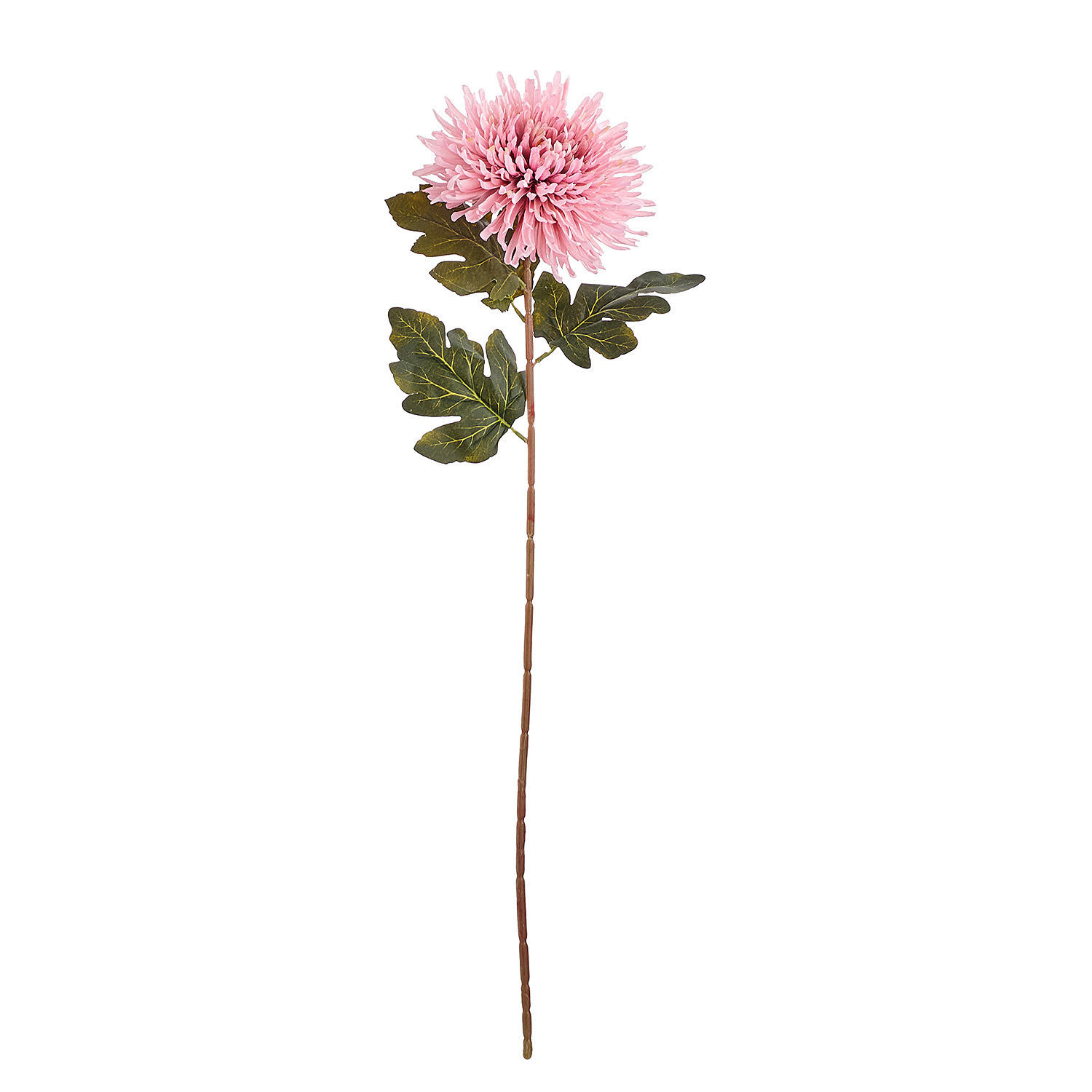 BUTLERS Kunstblume FLORISTA Chrysantheme - Pink, Kunststoff (73cm) - Butlers