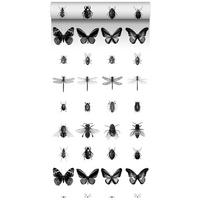 XXL-VLIESTAPETE Zeichnungen von Insekten 50 x 900 cm - Schwarz, Papier (50/900cm) - ESTAhome