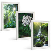 BILDER SET 3er Set - 40x60 cm Weißer Rahmen - Dschungeltigerwasserfall - Weiß, Kunststoff (40/60cm) - TULUP