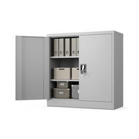 AKTENSCHRANK 2-türig mit 2 Einlegeböden Hellgrau Stahl 90x90x40cm - Hellgrau, Metall (90/90/40cm) - Muralo