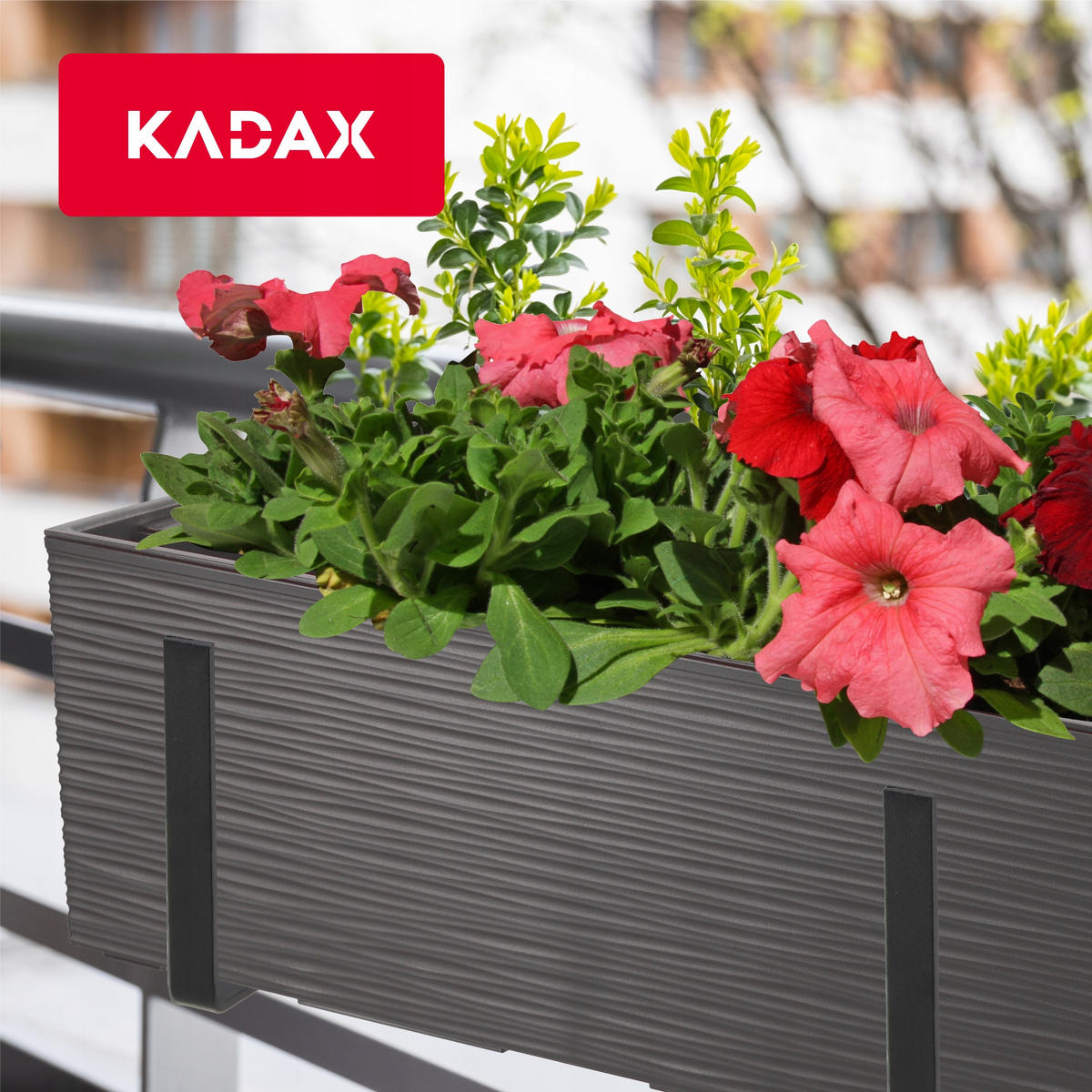 BALKONBLUMENTOPF mit Einsatz und 2 Griffe 56 cm, Graphit - Graphitfarben, Kunststoff (18/56cm) - KADAX