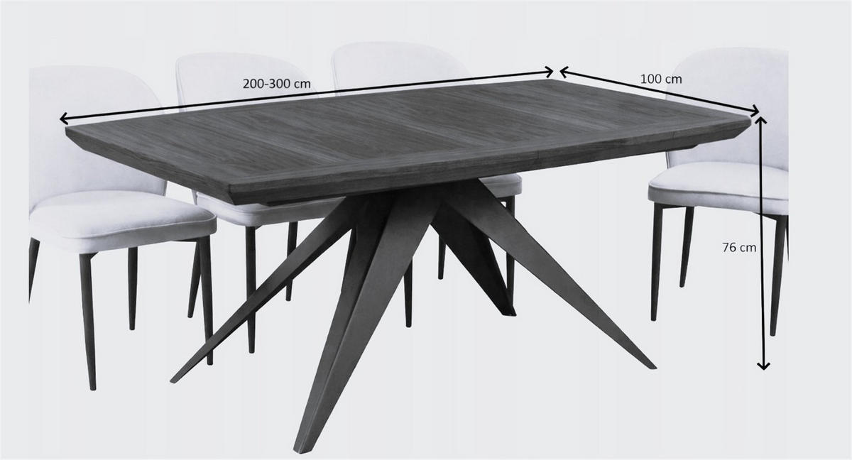 ESSTISCH FERRUM Ausziehbar 200 - 300 / 100 x 76 cm - Eichefarben/Schwarz, Holz (200/100/76cm) - MASSENO