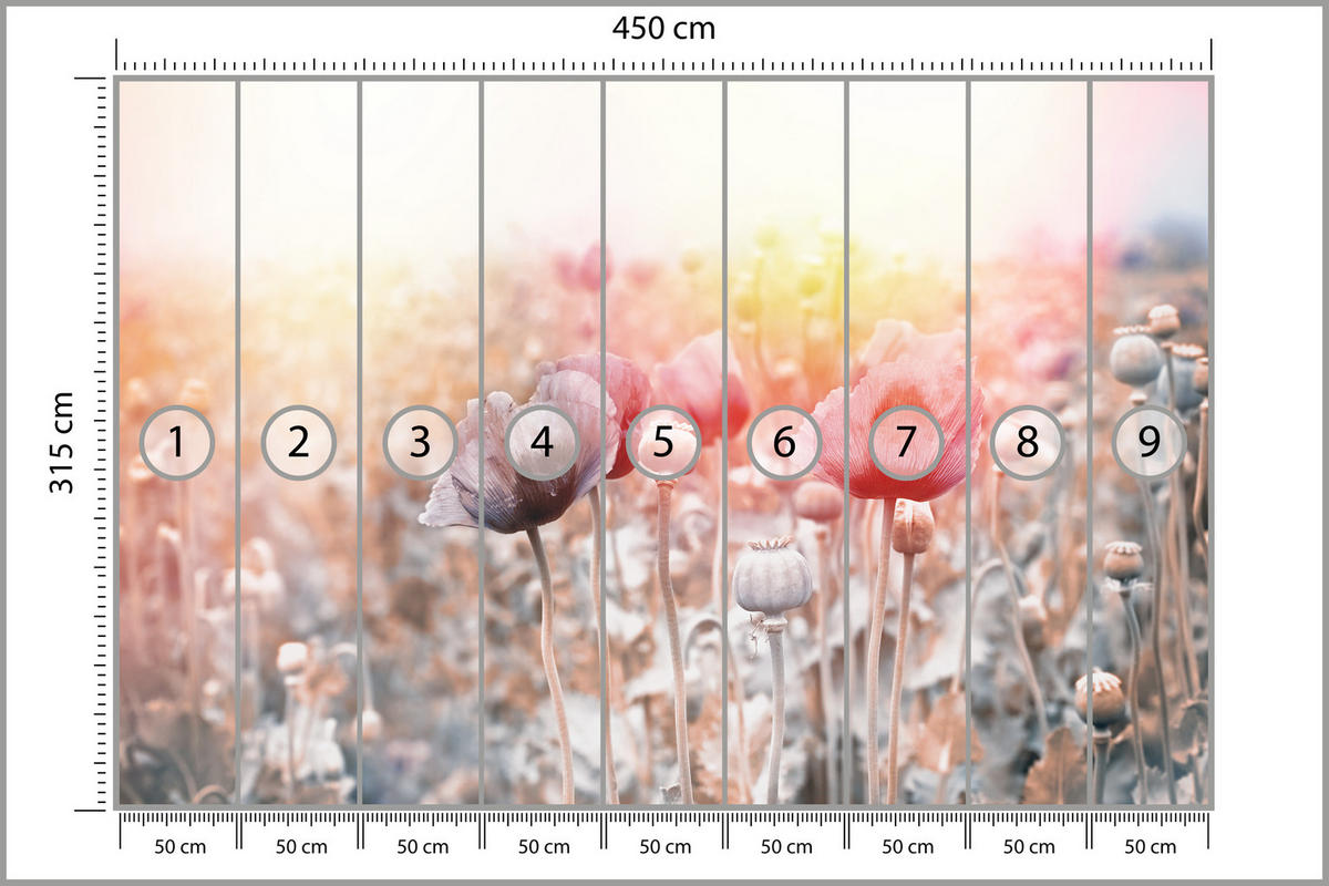 FOTOTAPETE für Wohnzimmer Mohnfeld Wiese Sonnenaufgang Natur 450x315 - Gelb/Rot, Papier (450/315cm) - Muralo