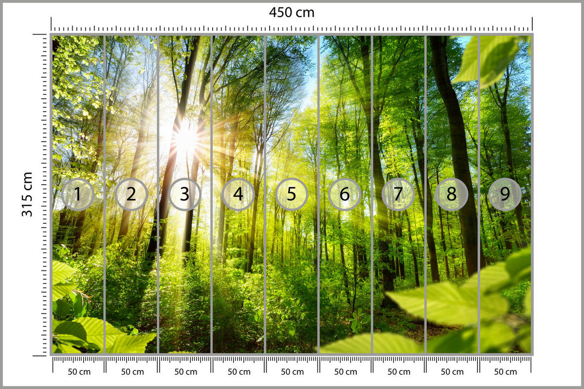 FOTOTAPETE für Wohnzimmer Sonnenaufgang zwischen Bäumen Wald 450x315 - Gelb/Grün, Papier (450/315cm) - Muralo