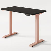 SCHREIBTISCH Elektrisch Höhenverstellbarer HomeOne 120x60cm Rosa/Schwarz mit Memory-Funktion, Anti-Kollisions Technologie - Pink/Schwarz, Holzwerkstoff (60/120/72cm) - Desktronic