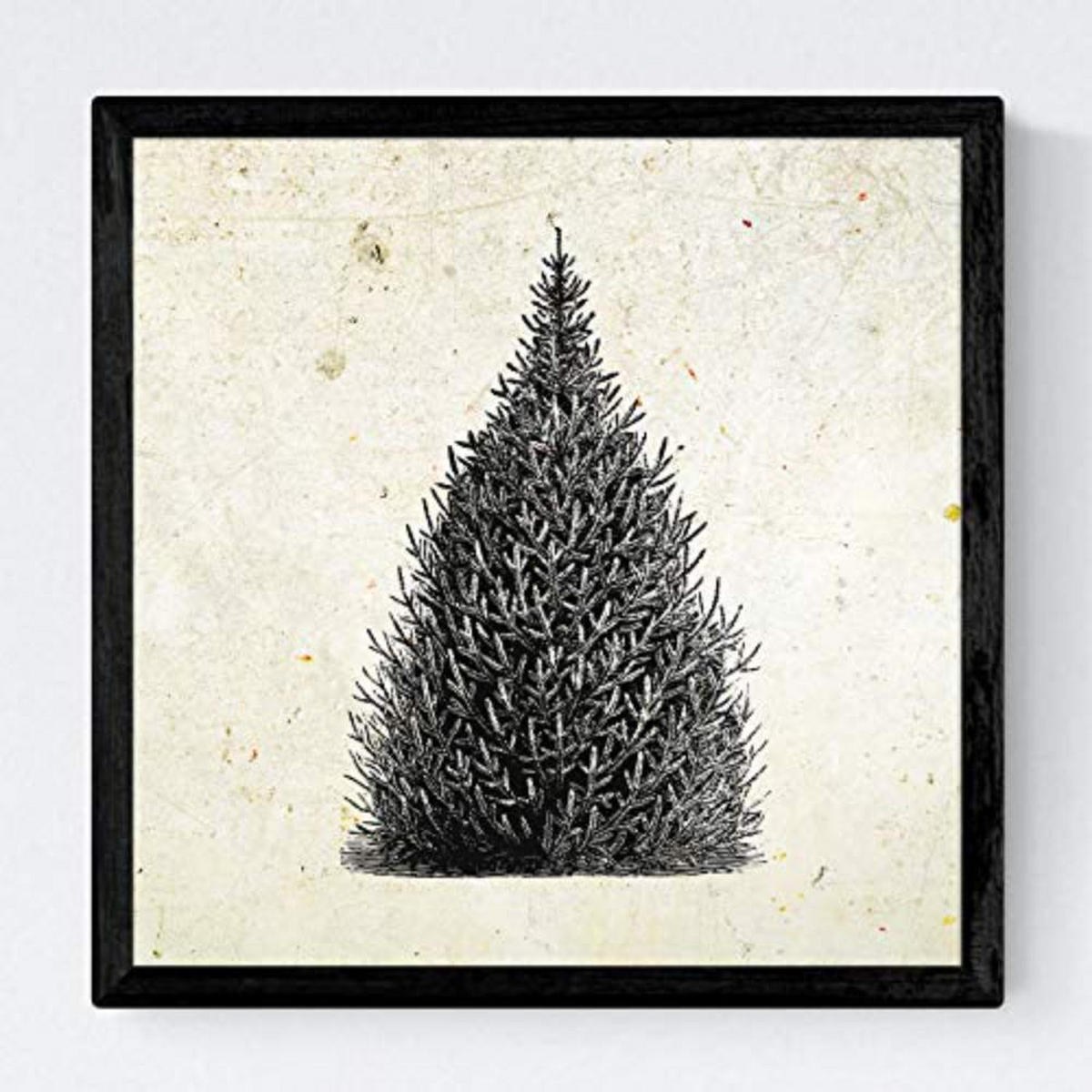 POSTER Set mit 4 Blättern der Bäume und Sträucher Jahrgang Hintergrund 20x20cm Rahmenlos - Klar, Papier (20/3cm) - Nacnic