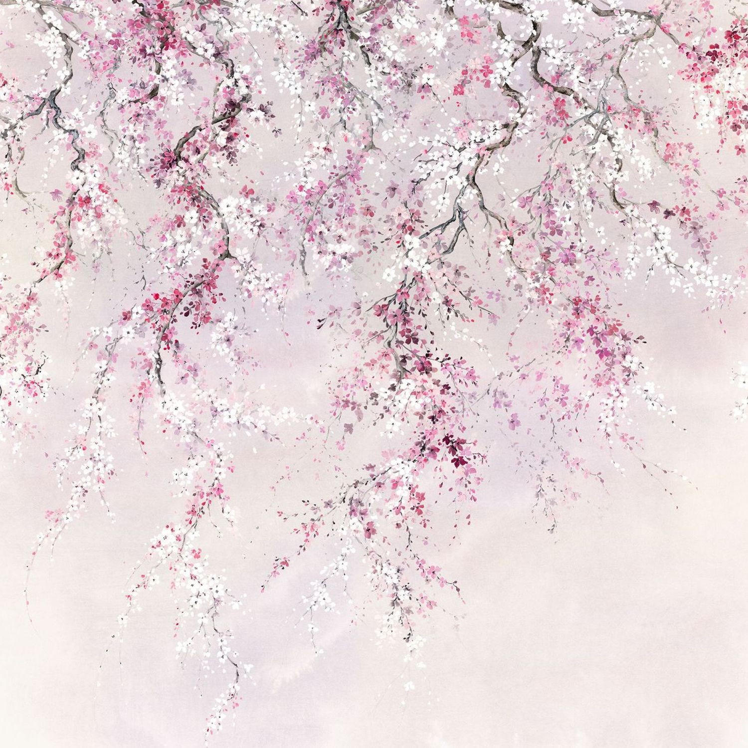 FOTOTAPETE Kirschblüten 300 x 280 cm - Pink, Papier (300/280cm) - Sanders & Sanders