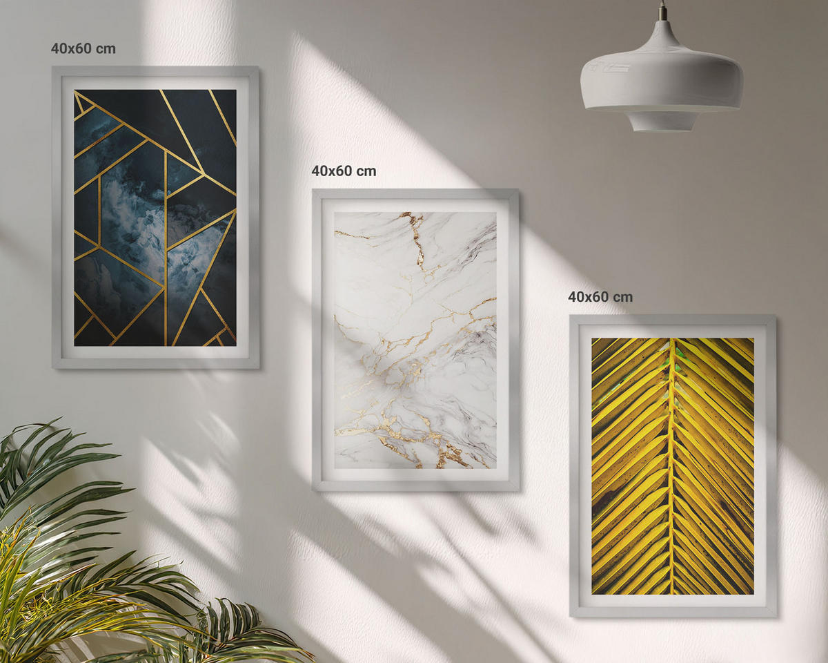 BILDER SET 3er Set - 40x60 cm Silberner Rahmen - Geometrische Muster und Vegetation - Silberfarben, Kunststoff (40/60cm) - TULUP