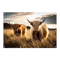 GARTEN-POSTER 120x80 cm Hochlandrinder - Beige, Kunststoff (120/80/2cm) - artissimo