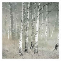 FOTOTAPETE Ruhender Birkenwald 288/288 cm - Grau, Papier (288/288cm) - Bilderwelten