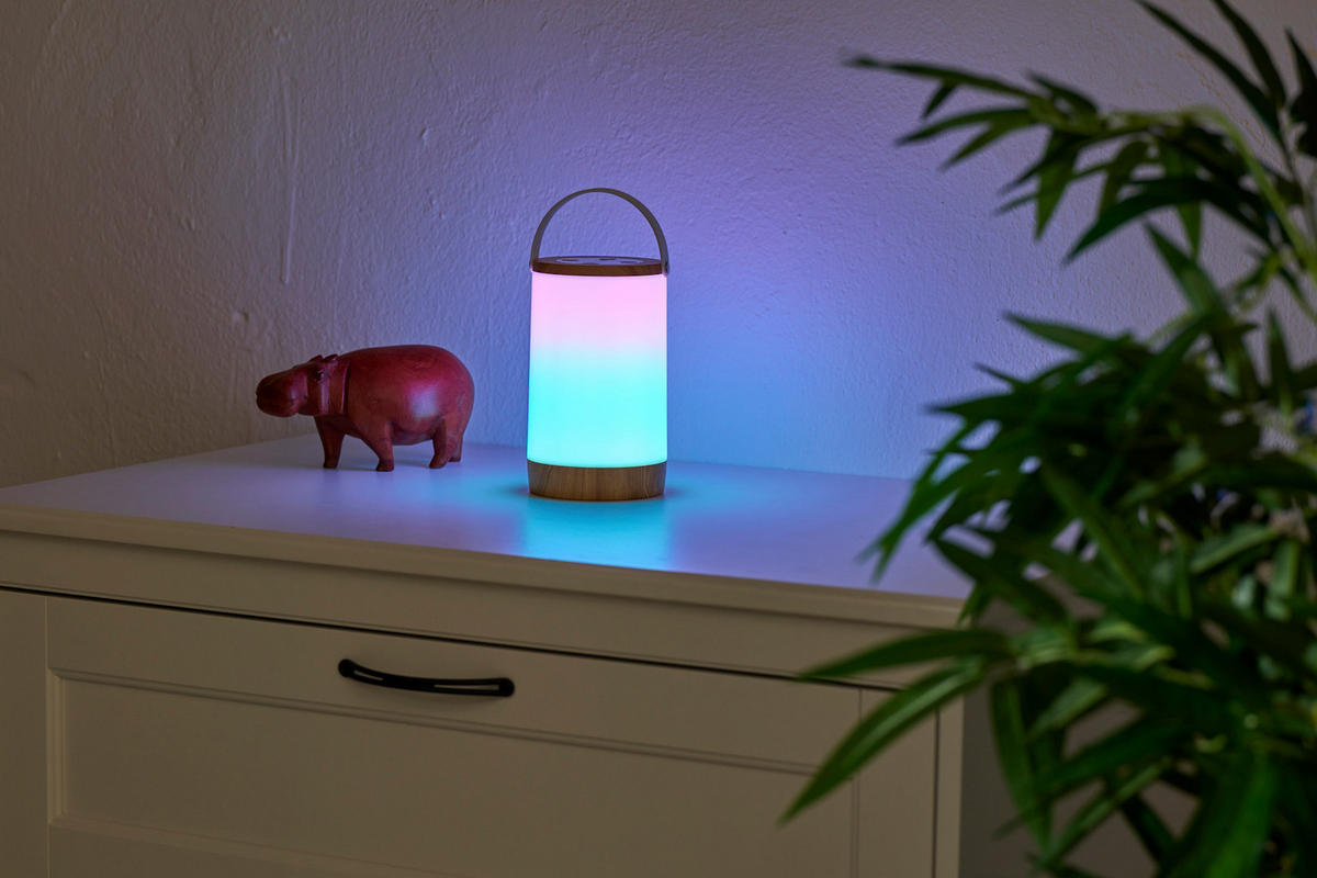 LED-RGB-IC-LATERNE - vielseitig für Innen und Außen mit Regenbogeneffekt und Soundsteuerung - Weiß, Kunststoff (10.5/10.5/17.5cm) - Northpoint