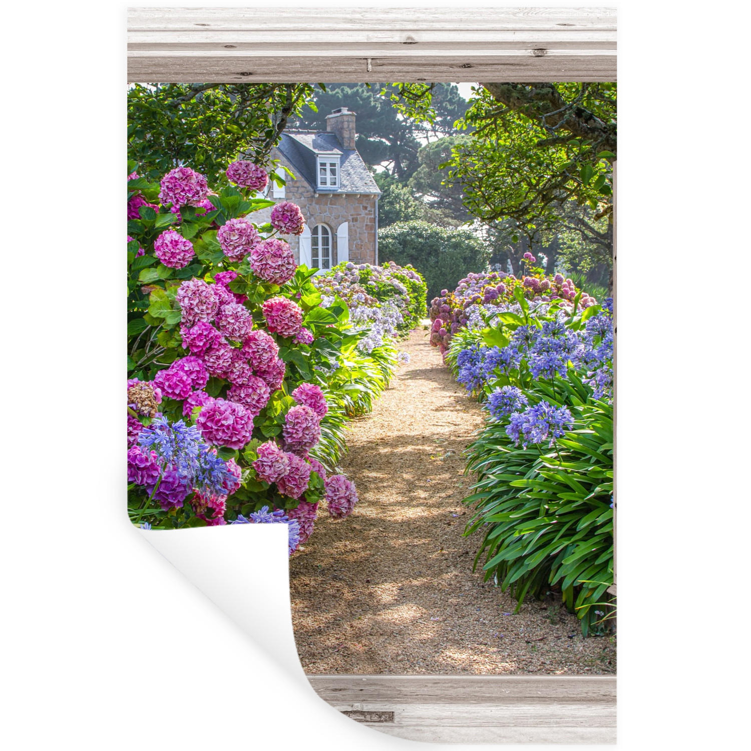 WANDTATTOO Hortensie - Fensterblick - Blumen - Sommer - Lila - Weg 40x60 cm - Lila, Kunststoff (40/60/0.1cm) - MuchoWow