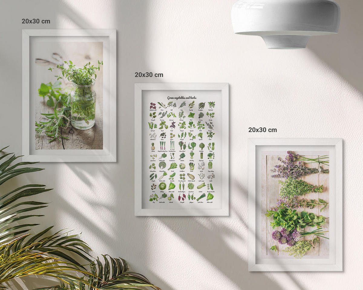 WANDBILDER 3er-Set - 20x30 cm Weißer Rahmen - Getrocknete Kräuter für die Küche - Weiß, Kunststoff (20/30cm) - ArtPrintCave