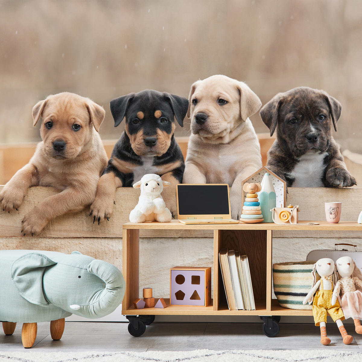 FOTOTAPETE für Kinderzimmer Süße Hunde Tiere 350x256 - Beige/Schwarz, Papier (350/256cm) - Muralo