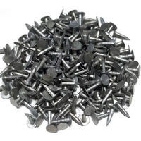 DACHPAPPSTIFTE Nägel verzinkt 2,5 x 15 mm 133 Stück - Naturfarben, Kunststoff (1.5/1.5cm) - Alpholz