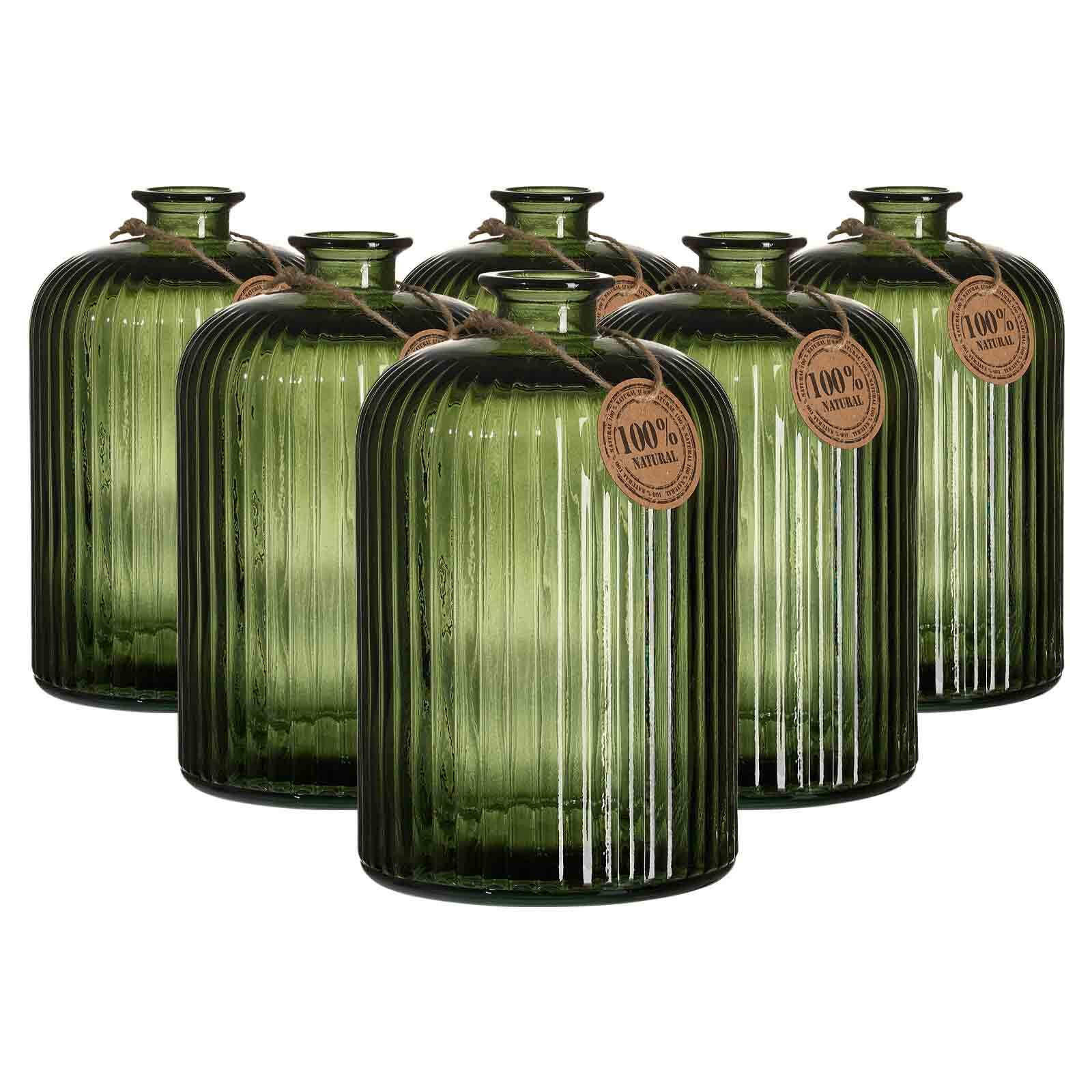 VASEN Guyana Stripes grün 24 cm 6er Set - Grün, Glas (24cm) - Ritzenhoff Breker