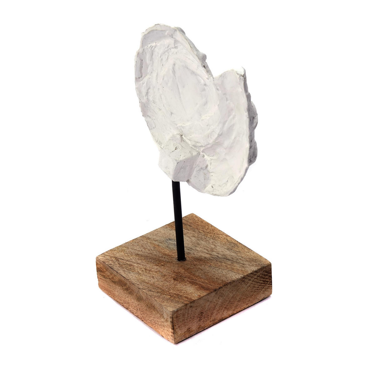 SKULPTUR MUSCHEL Shell Mangoholz-Sockel weiß-natur - Weiß, Holz (15/25/10cm) - CREEDWOOD