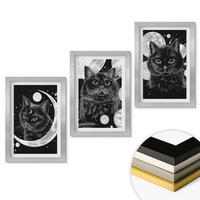 WANDBILDER 3er Set - 20x30 cm Silberner Rahmen - Schwarze Katzen, Mond, Weltraum - Silberfarben, Kunststoff (20/30cm) - ArtPrintCave