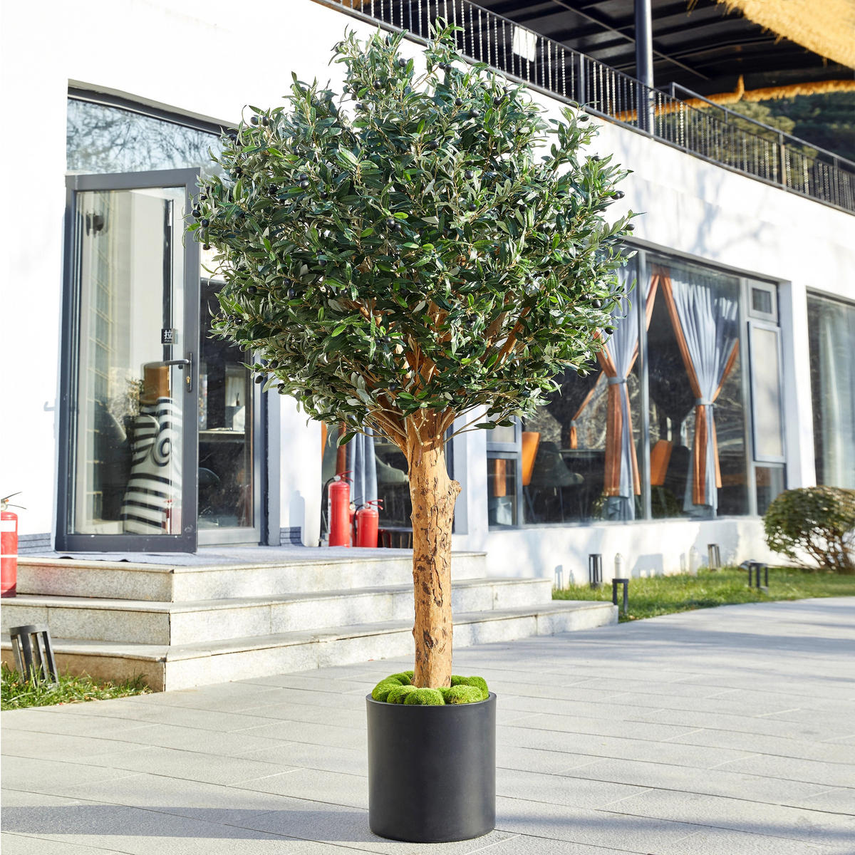 KUNSTBAUM Künstlicher Olivenbaum – Eleutherios 180 cm - Grün, Kunststoff (180cm) - aplanta