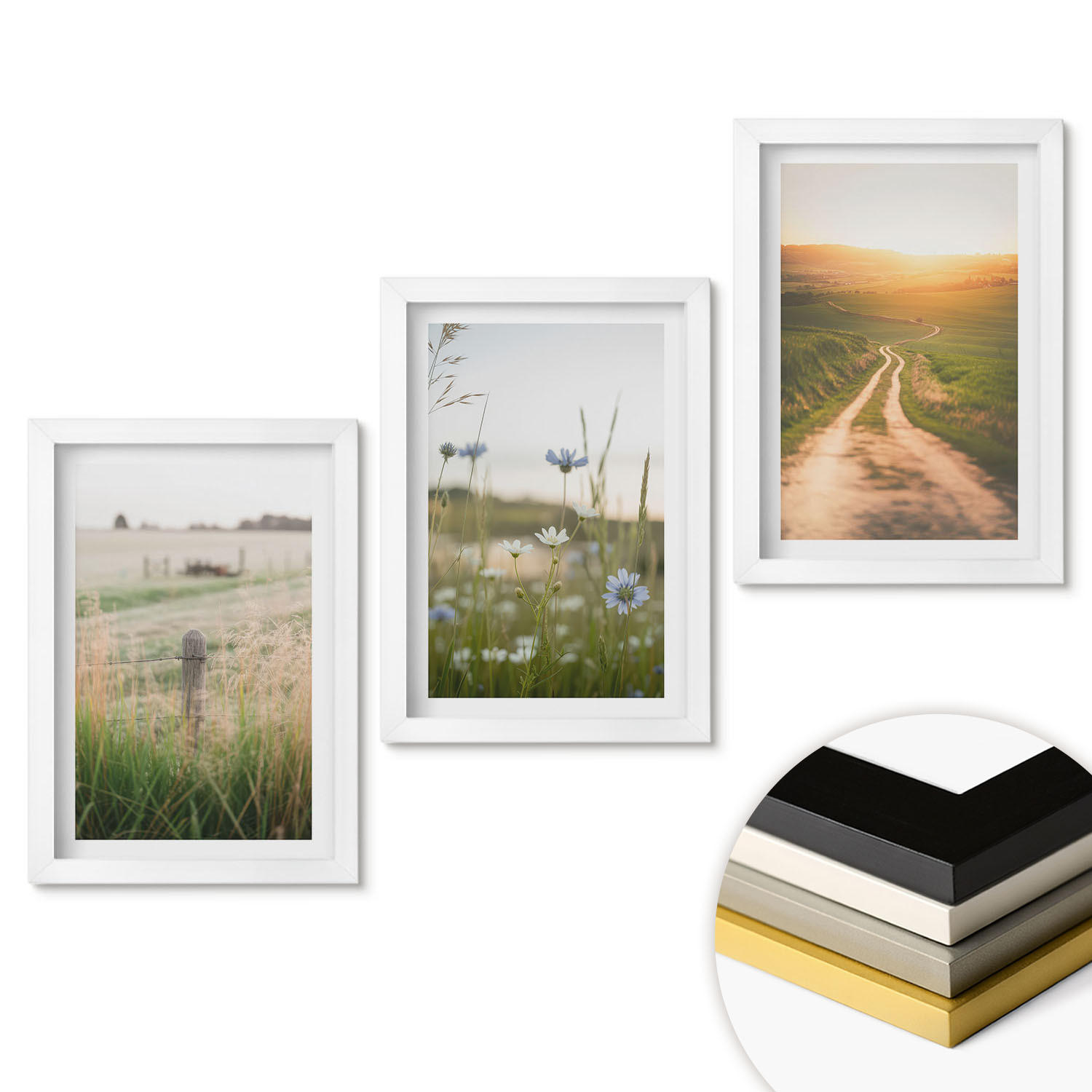 WANDBILDER 3er-Set - 20x30 cm Weißer Rahmen - Landschaften Natur Felder Weg - Weiß, Kunststoff (20/30cm) - ArtPrintCave