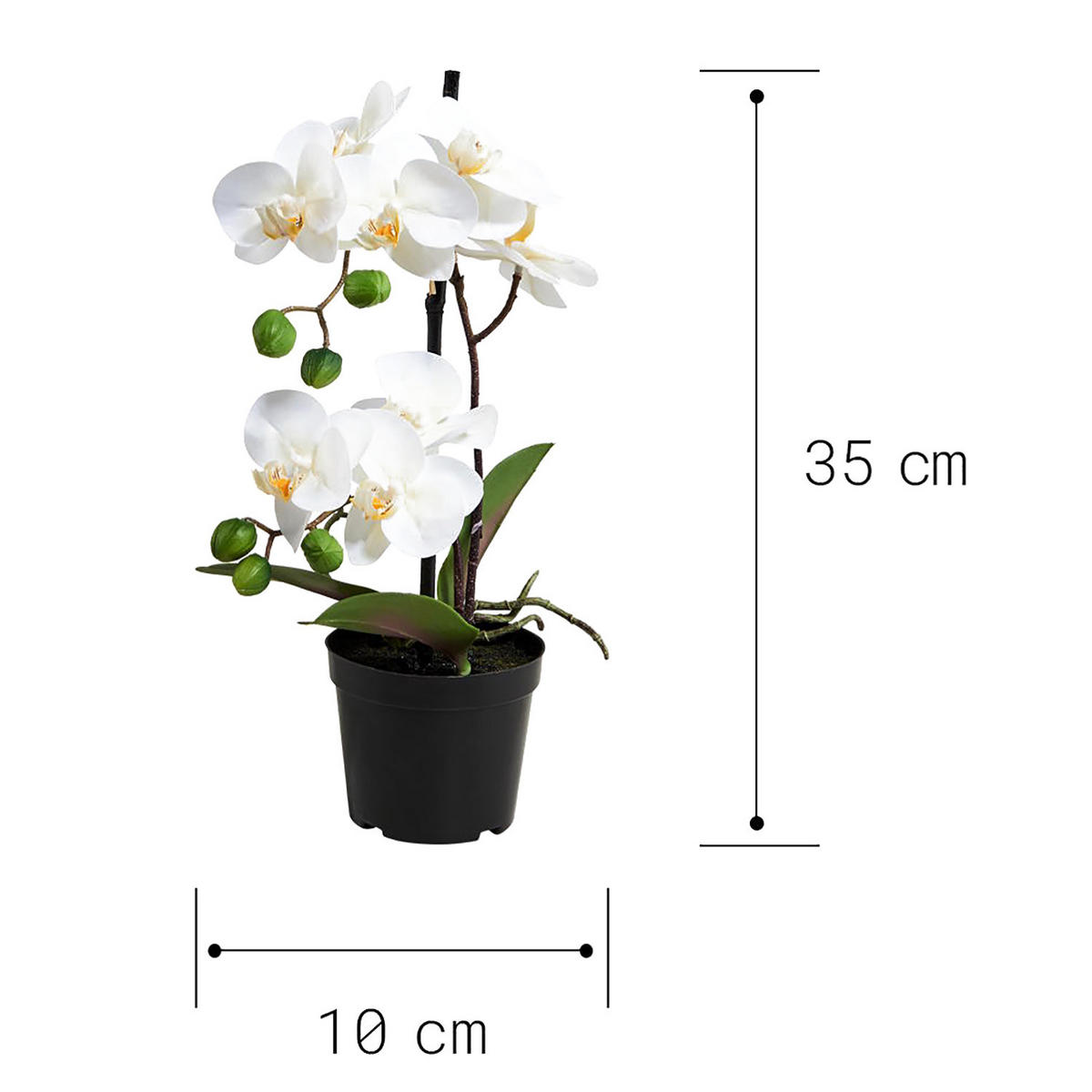 KUNSTPFLANZE (4er Set) Florista - Weiß, Kunststoff (35cm) - Butlers