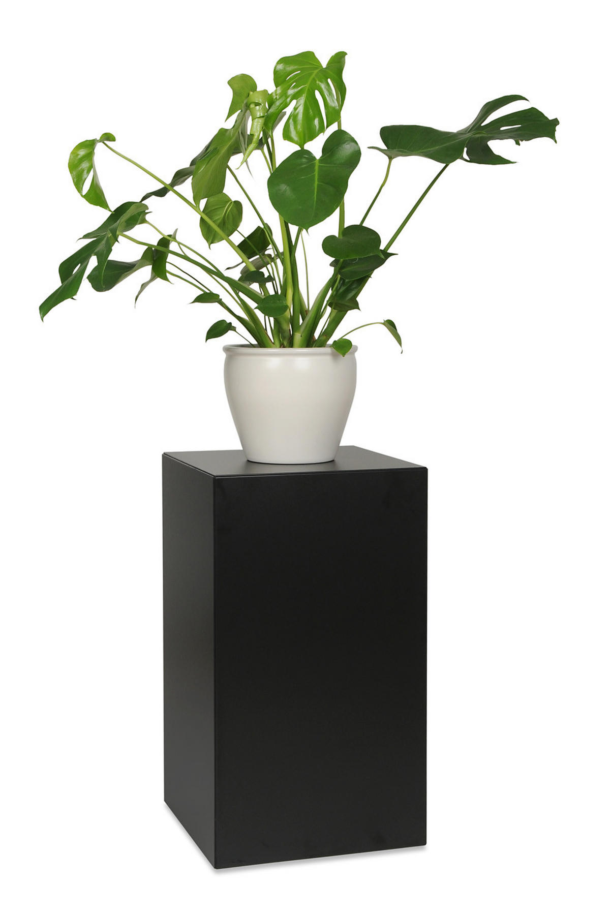 BLUMENSTÄNDER Fargo - Schwarz, Holzwerkstoff (41/71/41cm) - RAUMHIRSCH FURNITURE