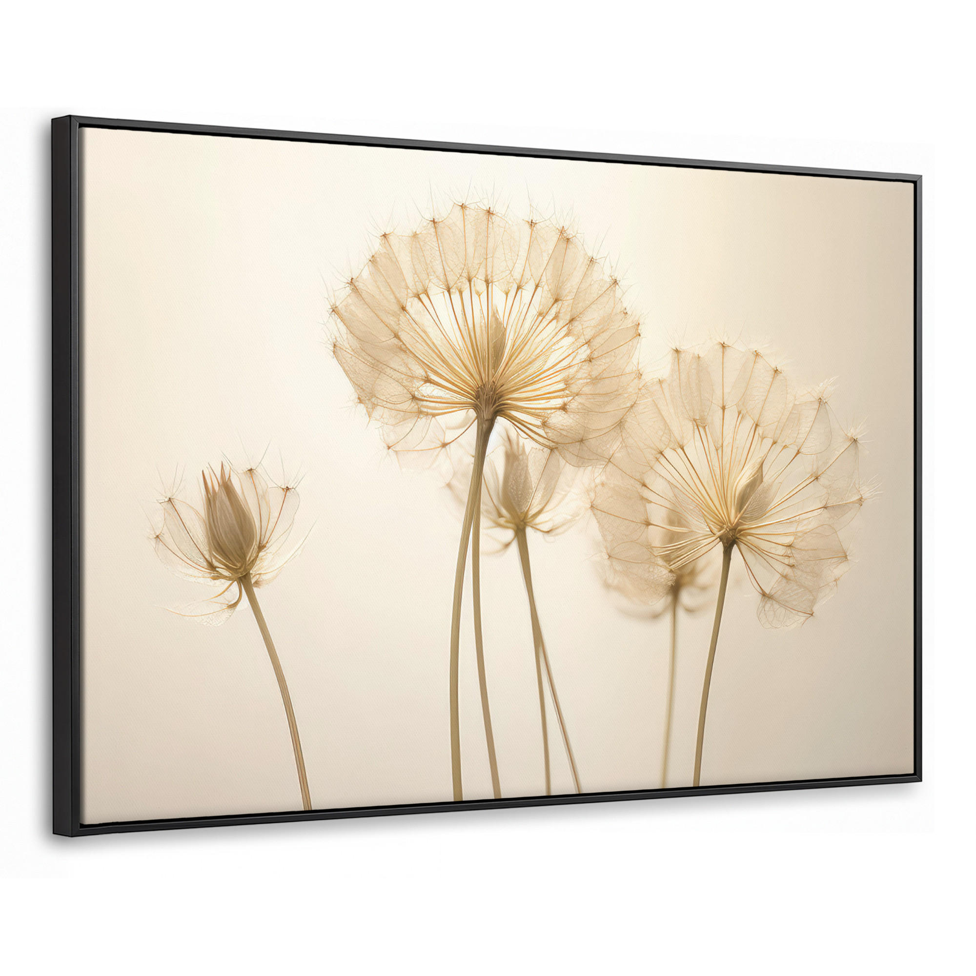LEINWAND Bilder mit Rahmen - Sonnenlicht - Löwenzahn - Botanisch - Blumen - 140x90 - Creme, Textil (140/90cm) - MuchoWow
