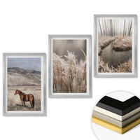 WANDBILDER 3er Set - 40x60 cm Silberner Rahmen - Pferde, Landschaft, Gras, Bach - Silberfarben, Kunststoff (40/60cm) - ArtPrintCave