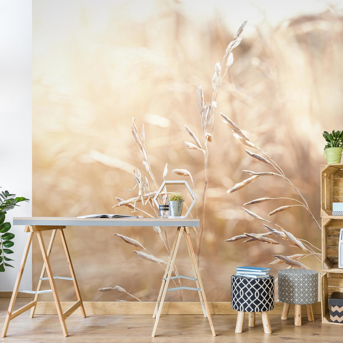 FOTOTAPETE Gräser im Sonnenschein 288/288 cm - Eichefarben, Papier (288/288cm) - Bilderwelten