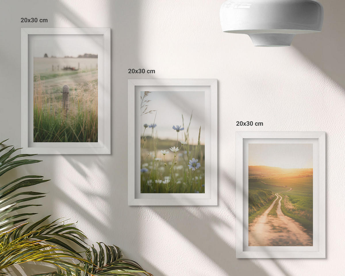 BILDER SET 3er Set - 20x30 cm Weißer Rahmen - Landschaften Natur Felder Weg - Weiß, Kunststoff (20/30cm) - TULUP