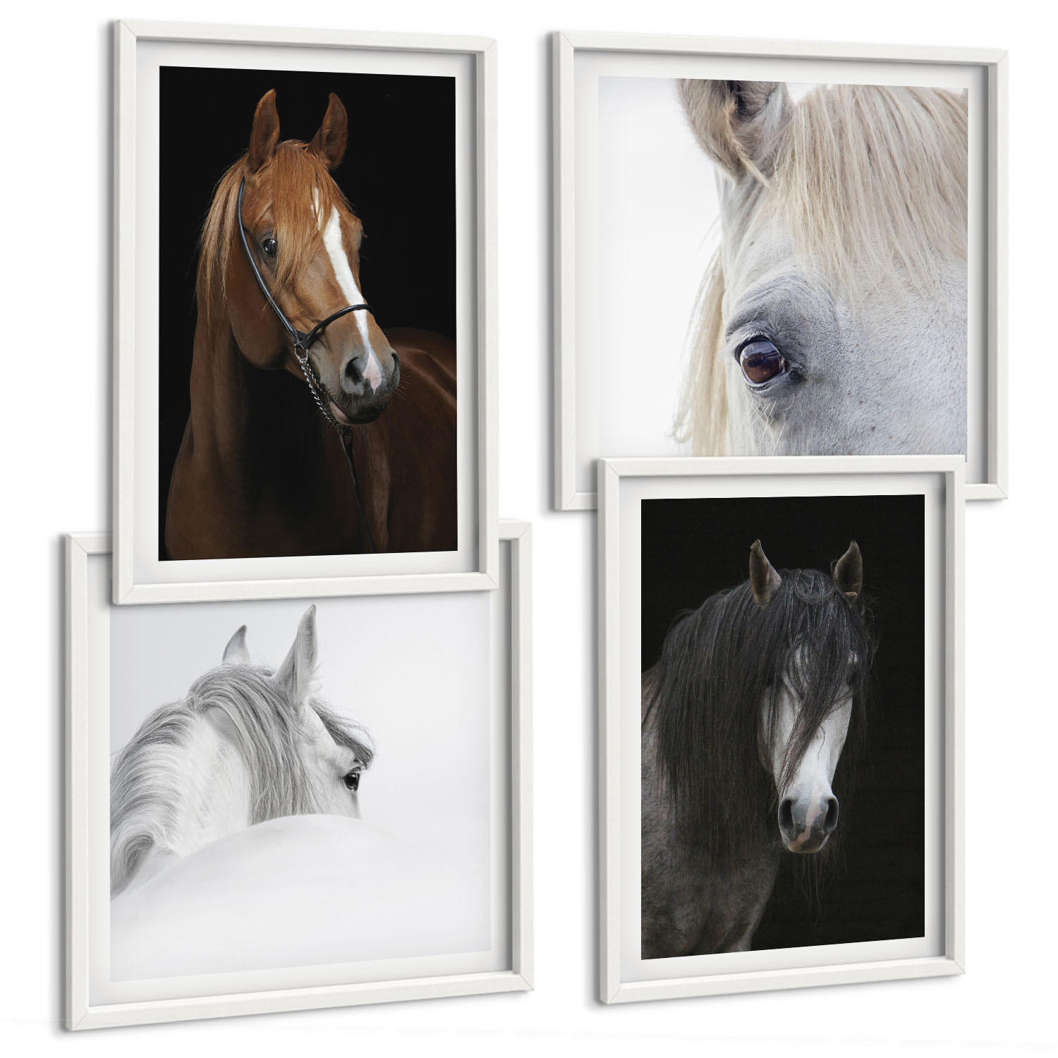BILDER SET 4er Set - 50x50 cm & 40x60 cm Weißer Rahmen - Pferdeporträts in Schattierungen - Weiß, Kunststoff (50/50cm) - TULUP