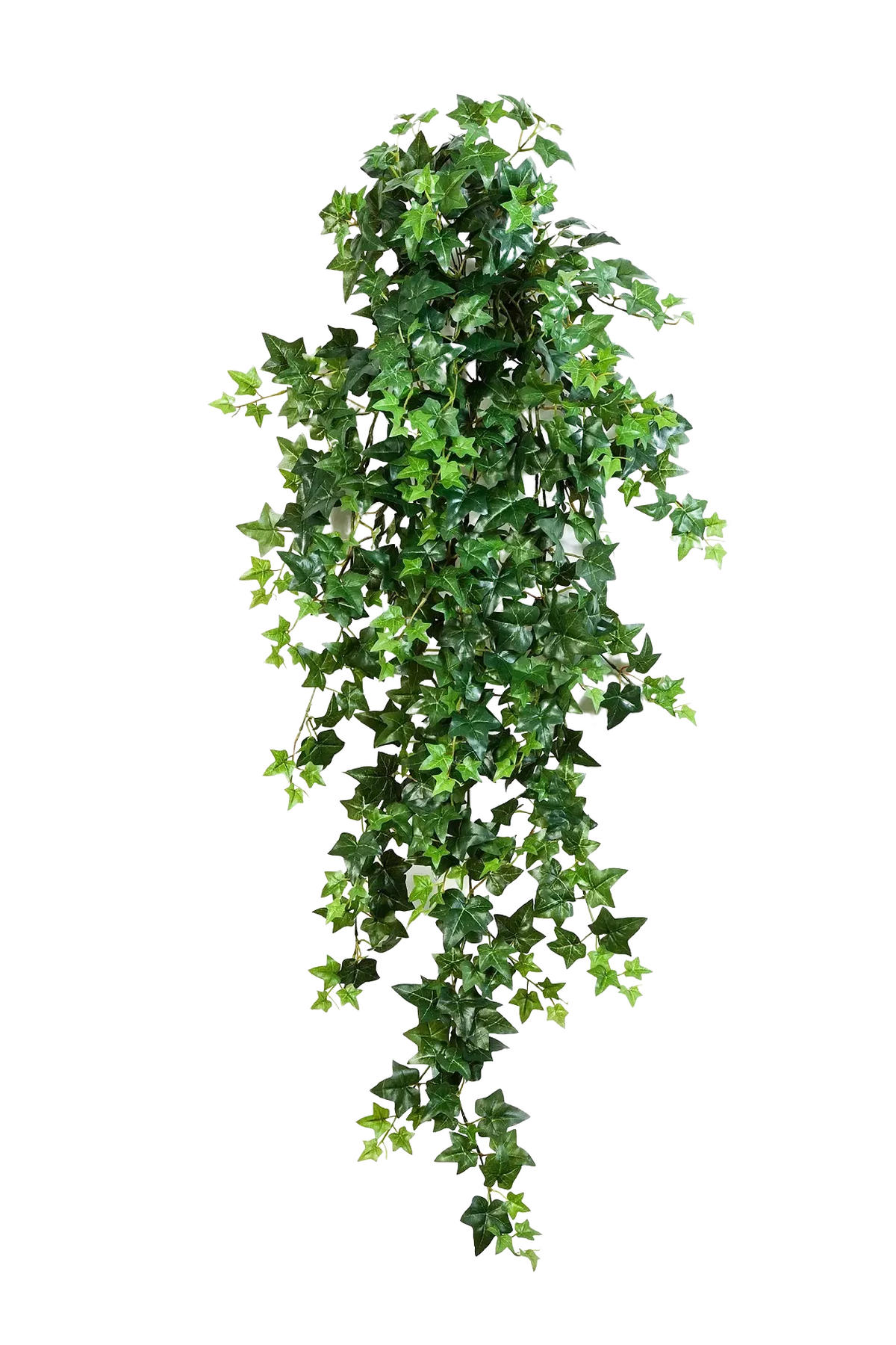 KÜNSTLICHER Efeu - Anastasia 110 cm - Grün, Kunststoff (110cm) - aplanta