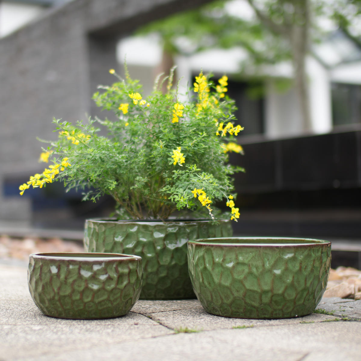 PFLANZTOPF Grün Ø 38/30/25 cm, 3er Set, Keramik, glasiert - Salbeigrün, Keramik (19cm) - PANGIVO