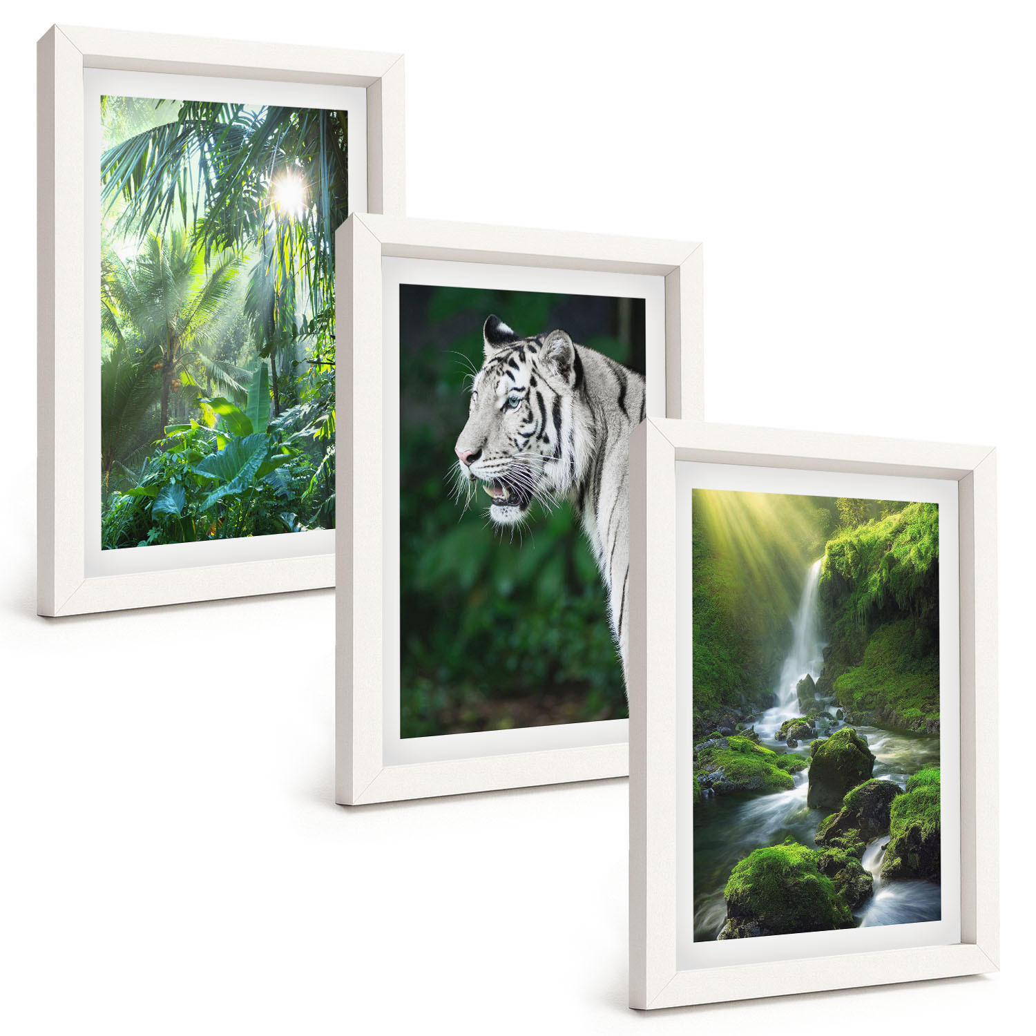 BILDER SET 3er Set - 20x30 cm Weißer Rahmen - Dschungeltigerwasserfall - Weiß, Kunststoff (20/30cm) - TULUP