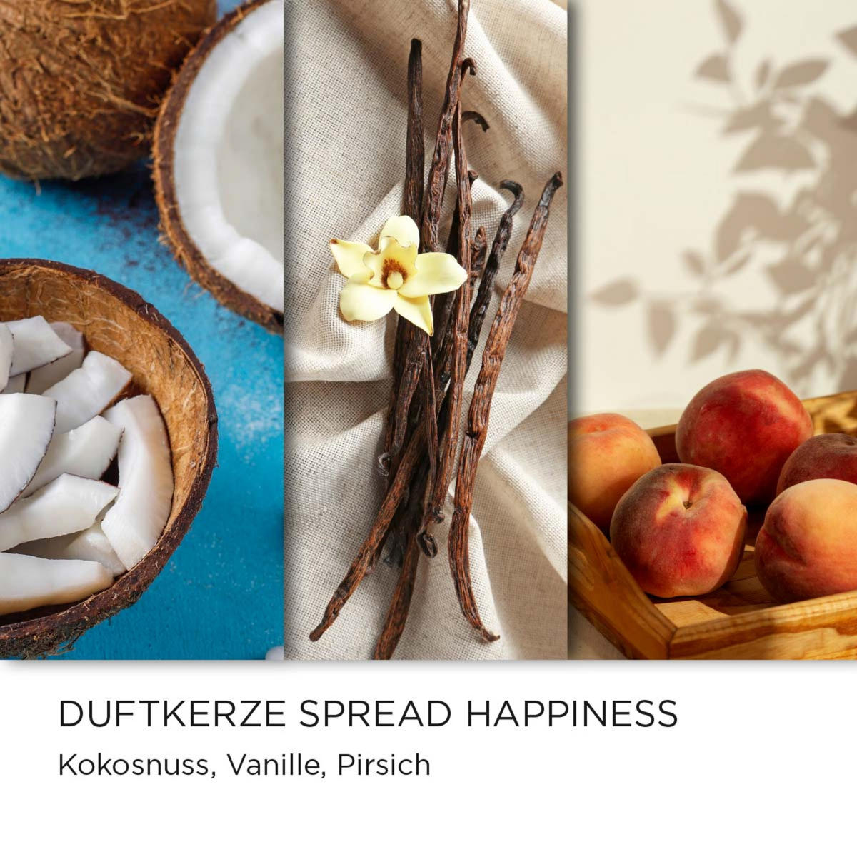 DUFTKERZE Minions - Multicolor, Glas/Naturmaterialen (12.5cm)