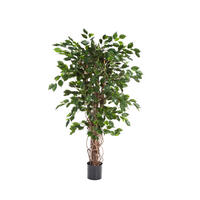 KUNSTBAUM Künstlicher Ficus - Jasmin 210 cm - Naturfarben, Kunststoff (210cm) - aplanta