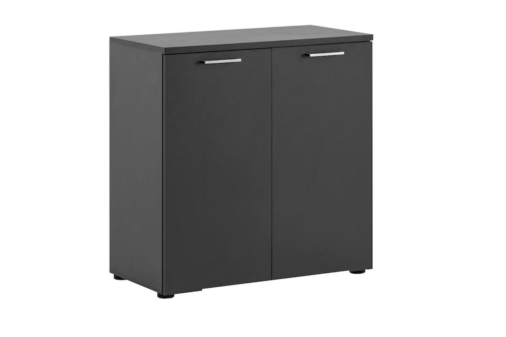 AKTENSCHRANK Hippo Small 84x80x41 cm 2 Fächern & 2 Flügeltüren Anthrazit - Anthrazit, Holz (80/84/41cm) - PROREGAL