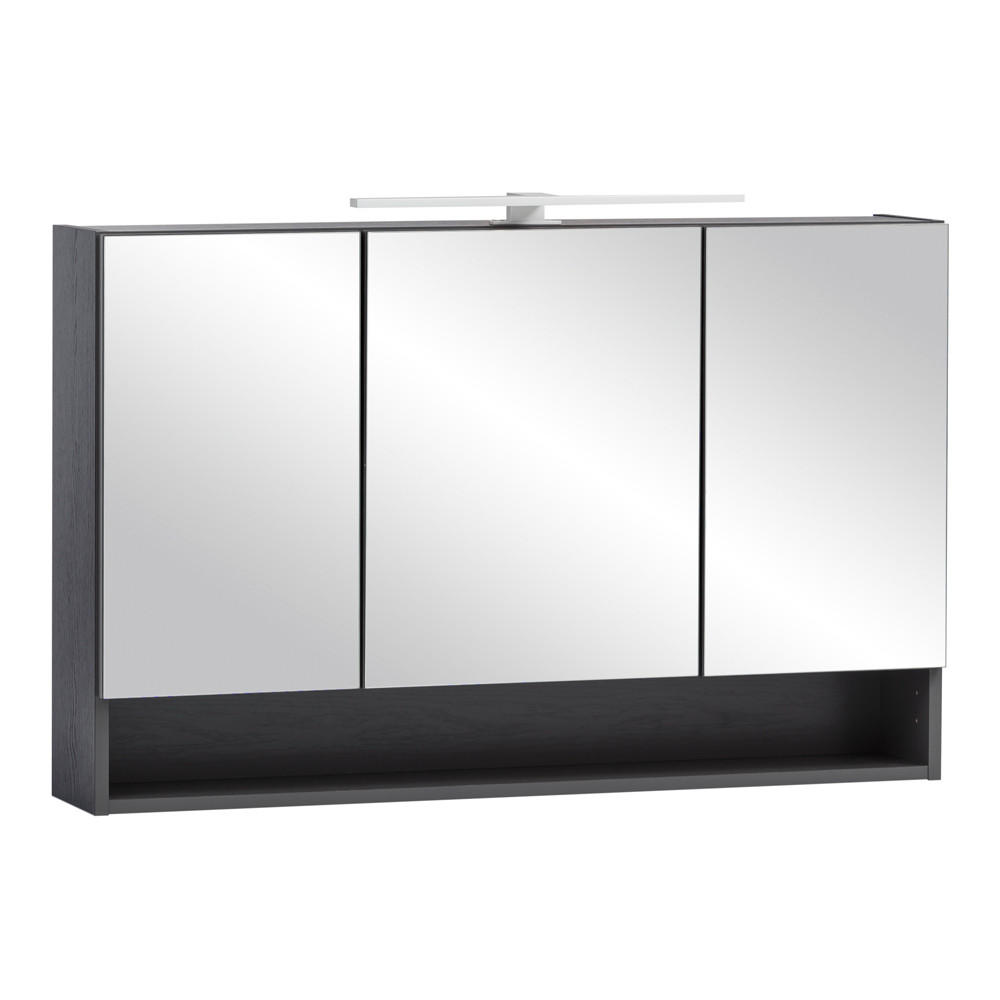 Lomado Spiegelschrank Grau 100x64x20 cm