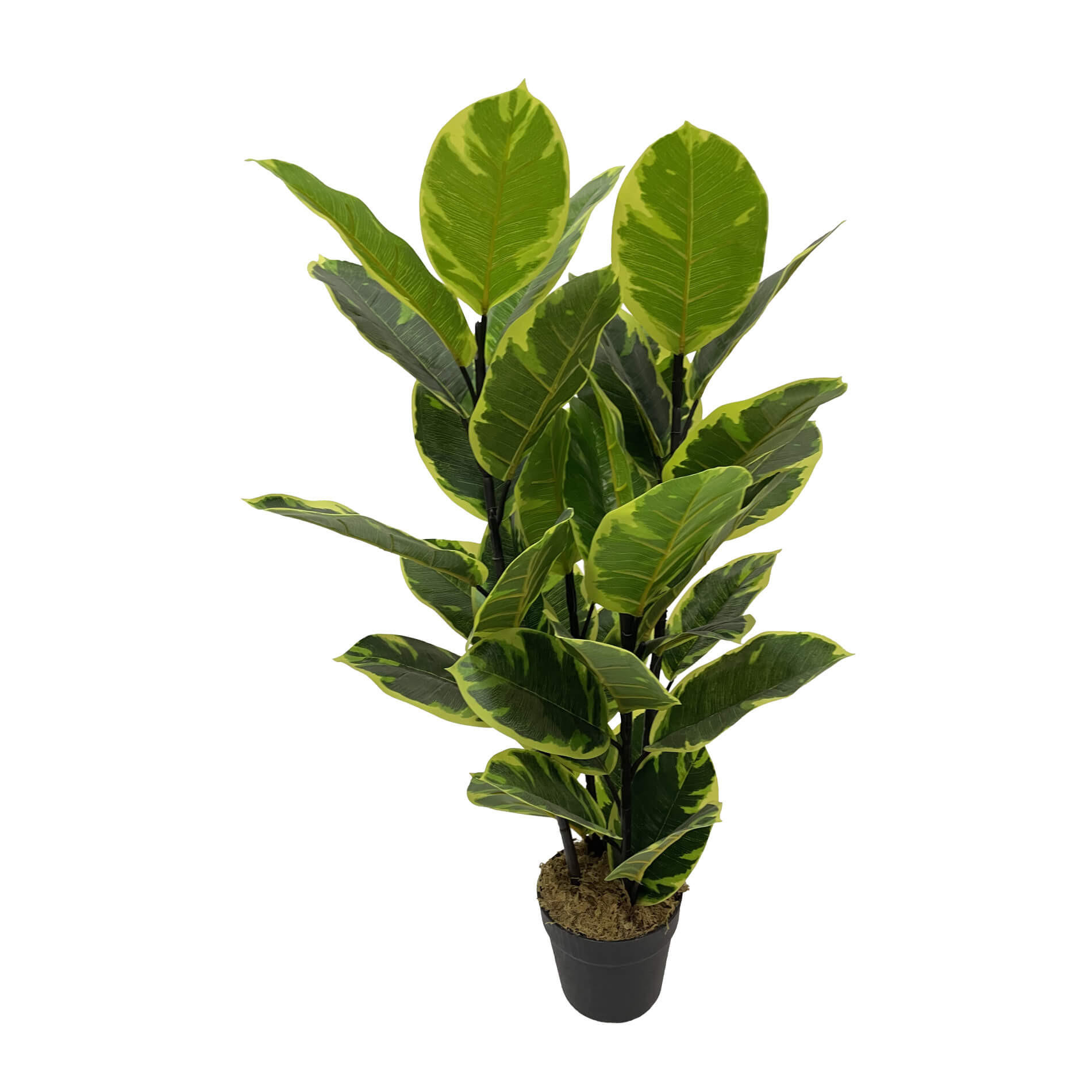 KUNSTPFLANZE Indischer Feigenbaum 90 cm - Grün, Kunststoff (90cm)