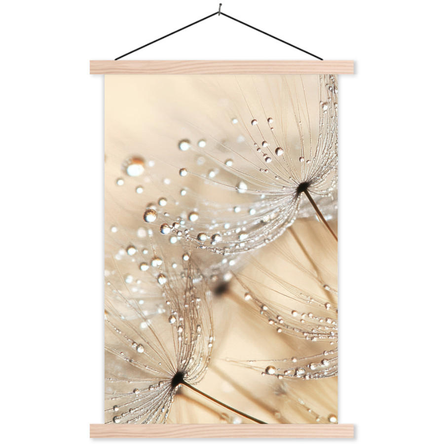 MuchoWow PLAKÁT S MAGNETICKOU LIŠTOU Pampeliška - Abstraktní - Příroda - Béžová 60x90 cm