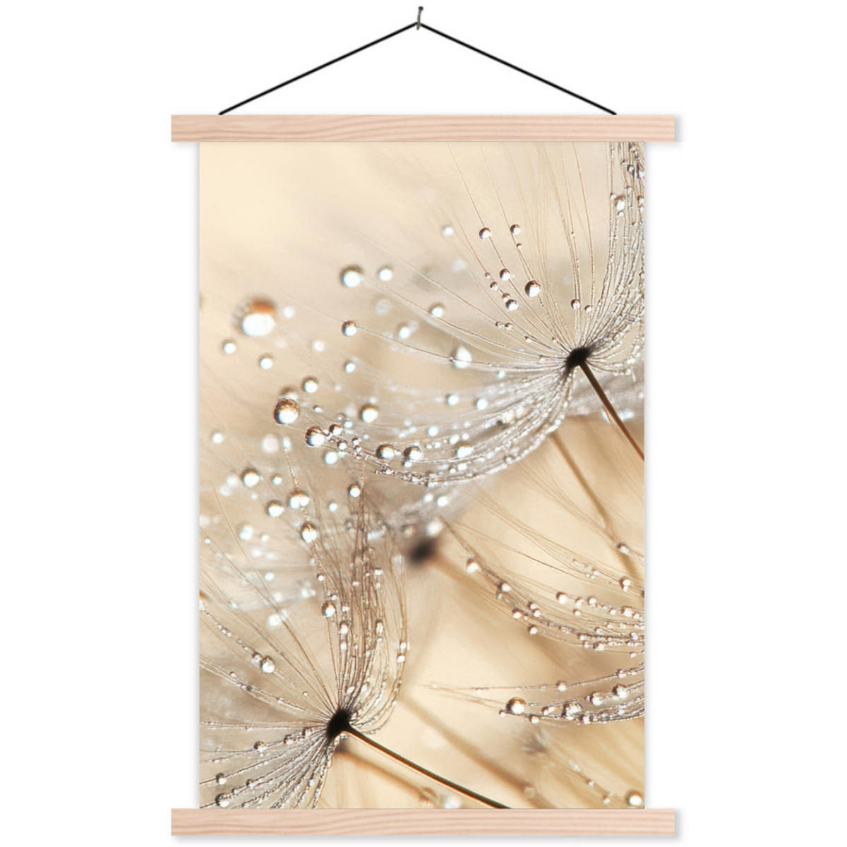POSTER Löwenzahn - Abstrakt - Natur - Beige 40x60 cm - Braun, Textil (40/60/0.15cm) - MuchoWow