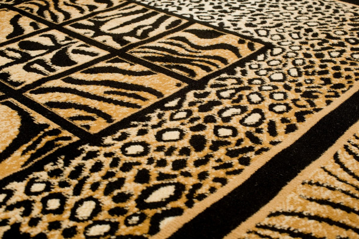 TEPPICH ATLAS Braun 300/400 cm - Braun, Textil (300/400cm) - Tapiso