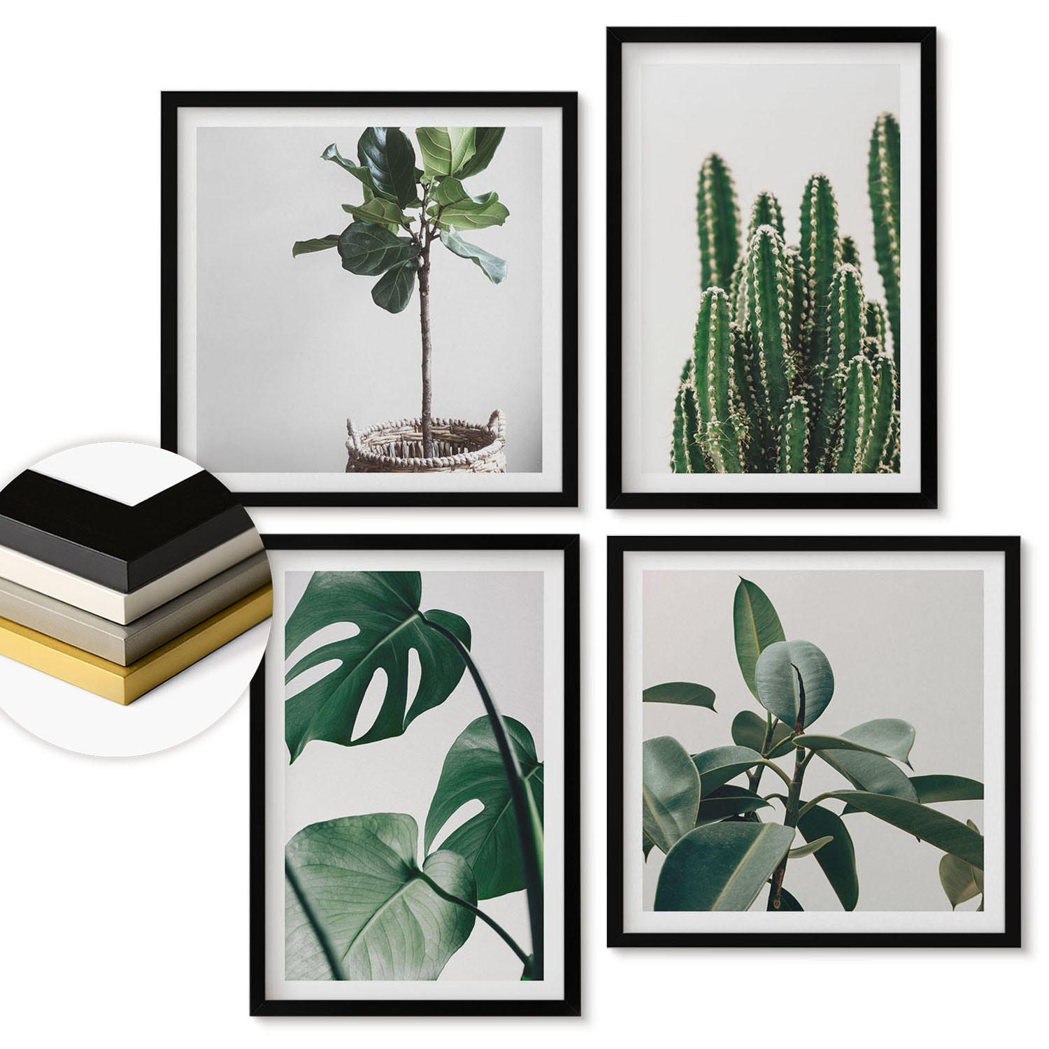 WANDBILDER 4er-Set - 50x50 cm & 40x60 cm Schwarzer Rahmen - Ästhetik tropischer Pflanzen - Schwarz, Kunststoff (50/50cm) - ArtPrintCave
