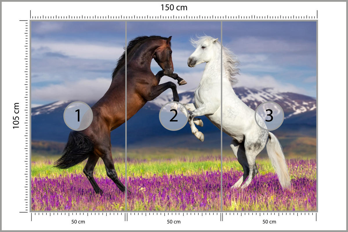 FOTOTAPETE für Esszimmer Pferde Lavendelfeld Berge Provence 150x105 - Beige/Violett, Papier (150/105cm) - Muralo