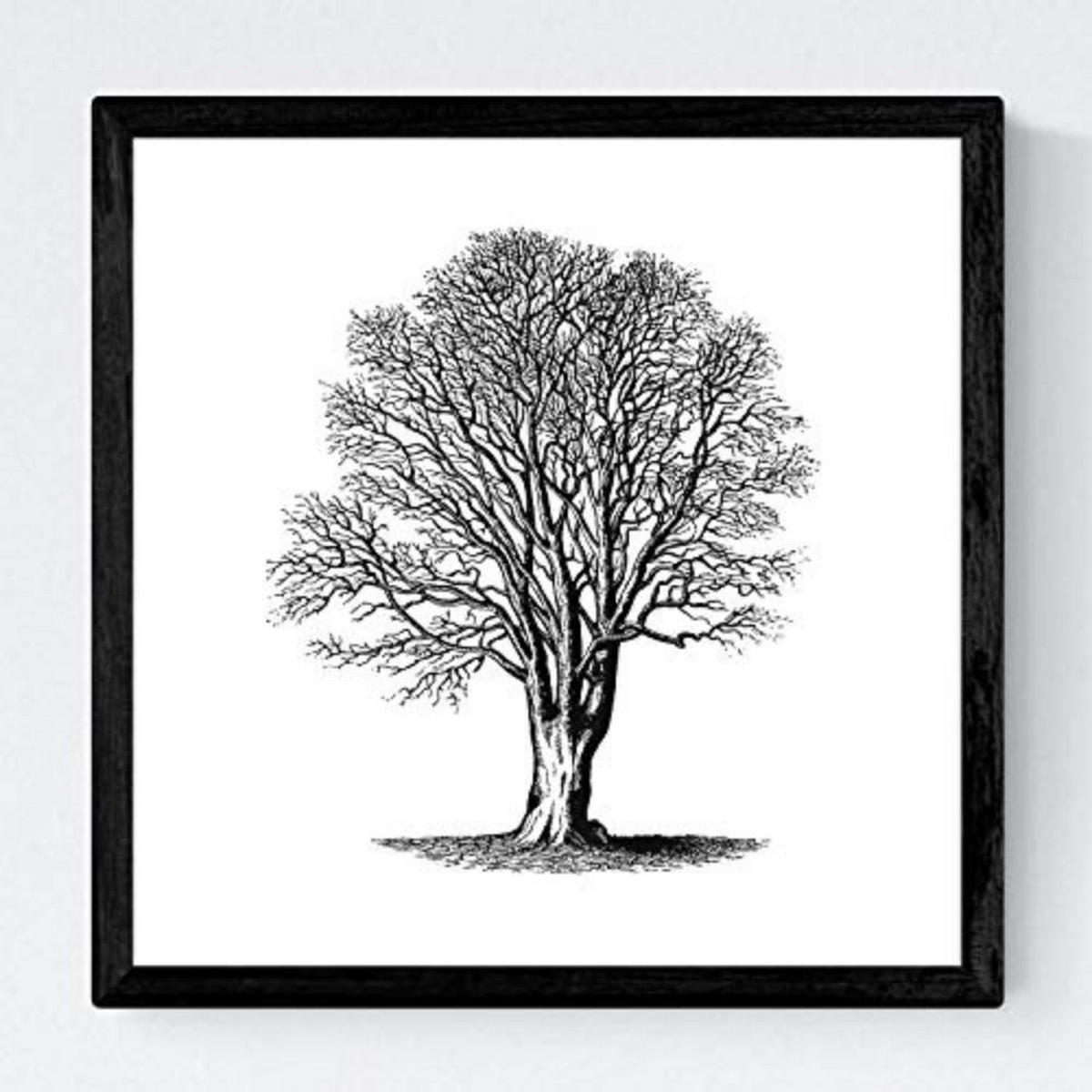 POSTER Set mit 4 Blättern der Bäume ohne und mit Blatt, weiß 20x20cm Rahmenlos - Klar, Papier (20/3cm) - Nacnic